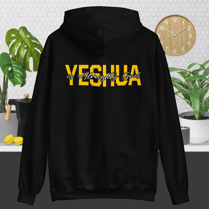 F&H Yeshua is God Almighty Two Sided Hoodie