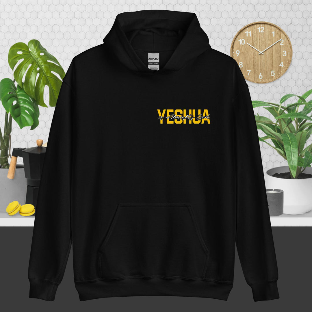 F&H Yeshua is God Almighty Two Sided Hoodie