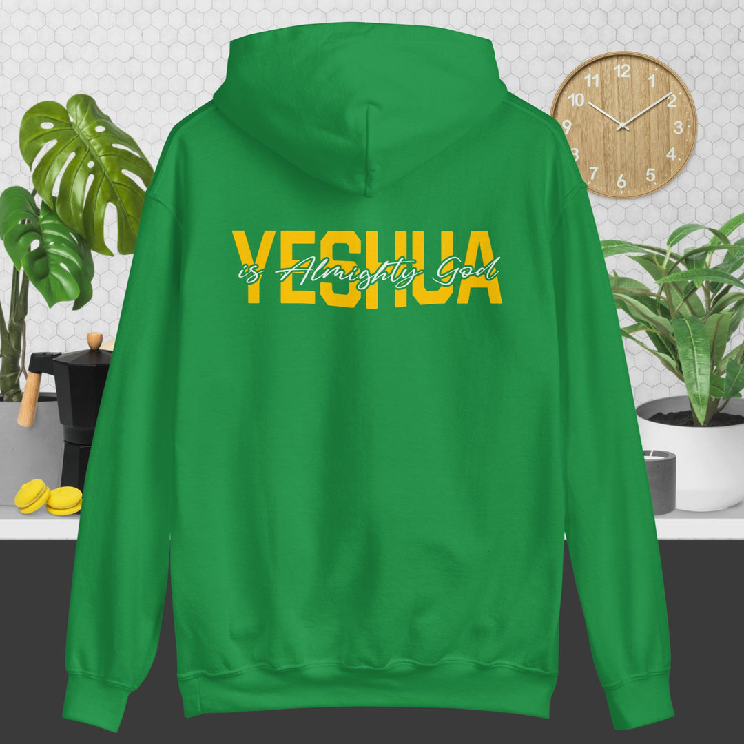 F&H Yeshua is God Almighty Two Sided Hoodie