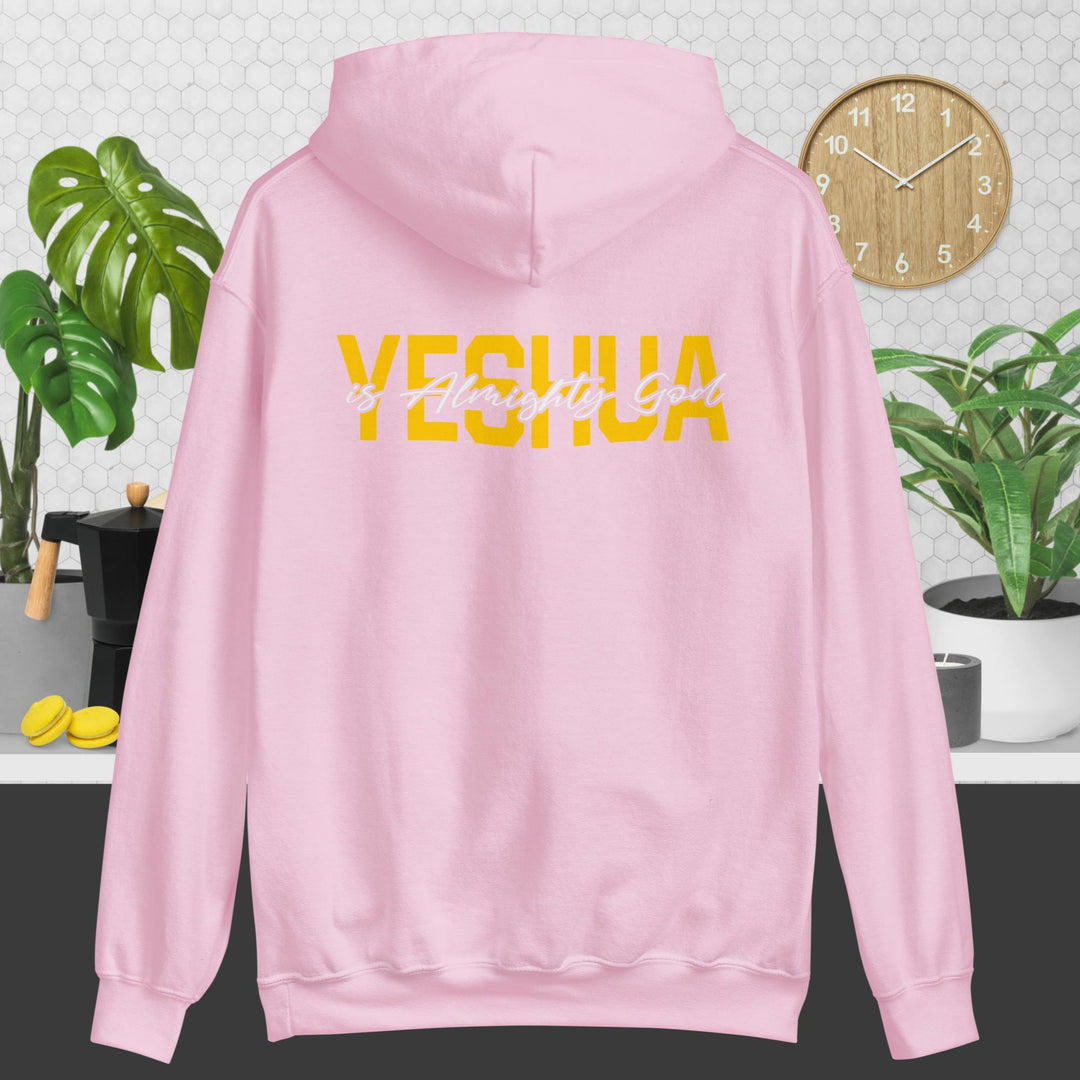 F&H Yeshua is God Almighty Two Sided Hoodie