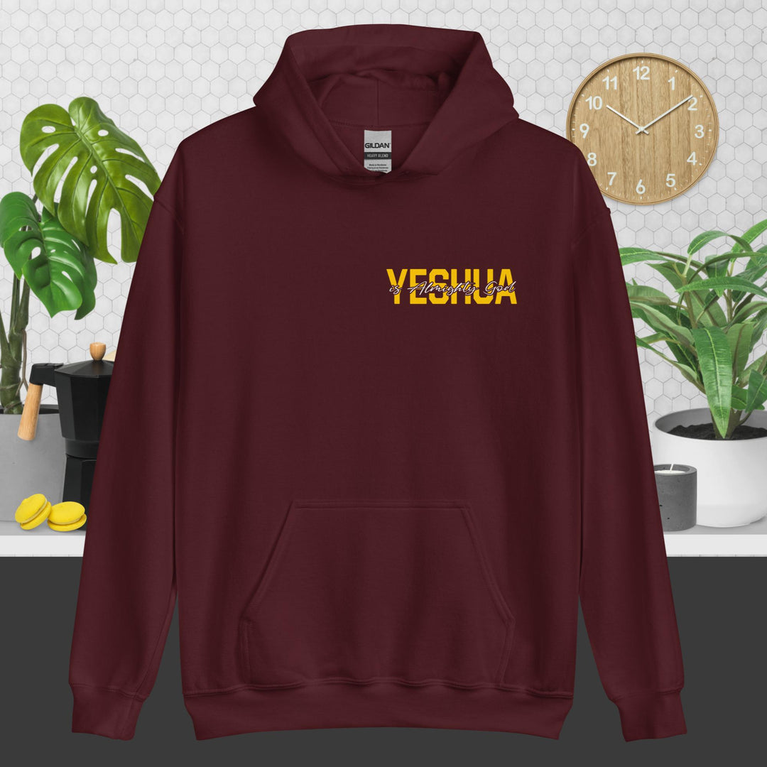 F&H Yeshua is God Almighty Two Sided Hoodie