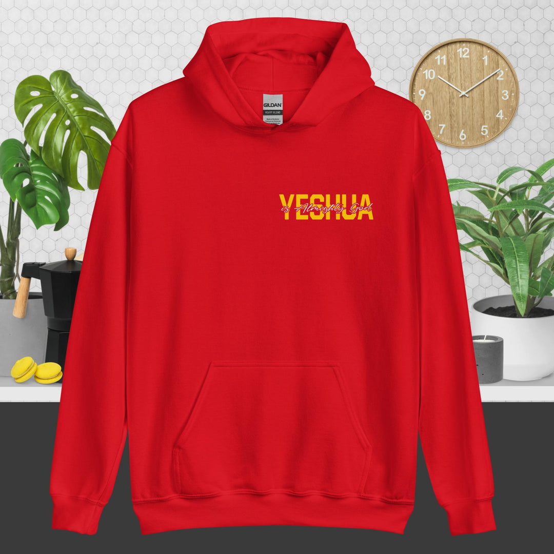 F&H Yeshua is God Almighty Two Sided Hoodie