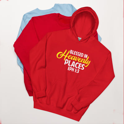 F&H Christian Blessed in Heavenly Places Unisex Hoodie