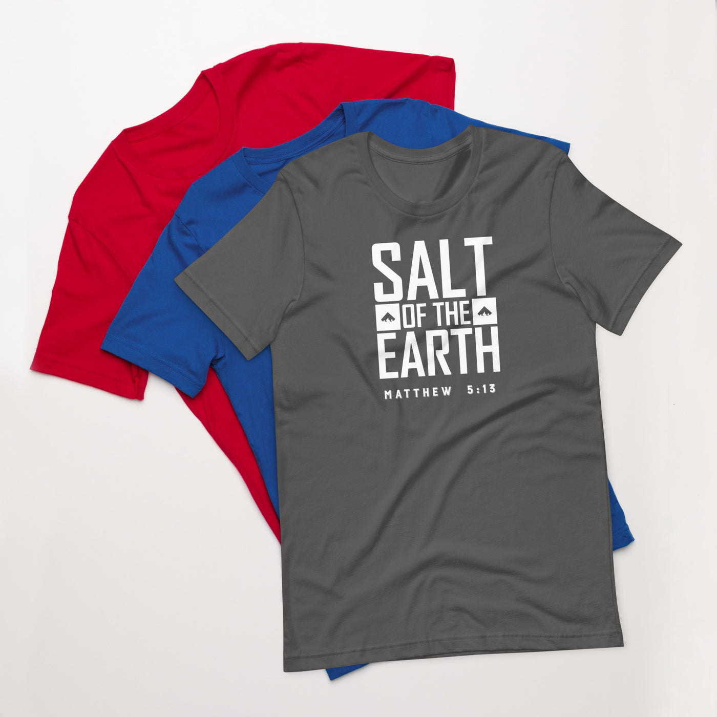 F&H Christian Salt of the Earth Matthew 5:13 Mens T-shirt