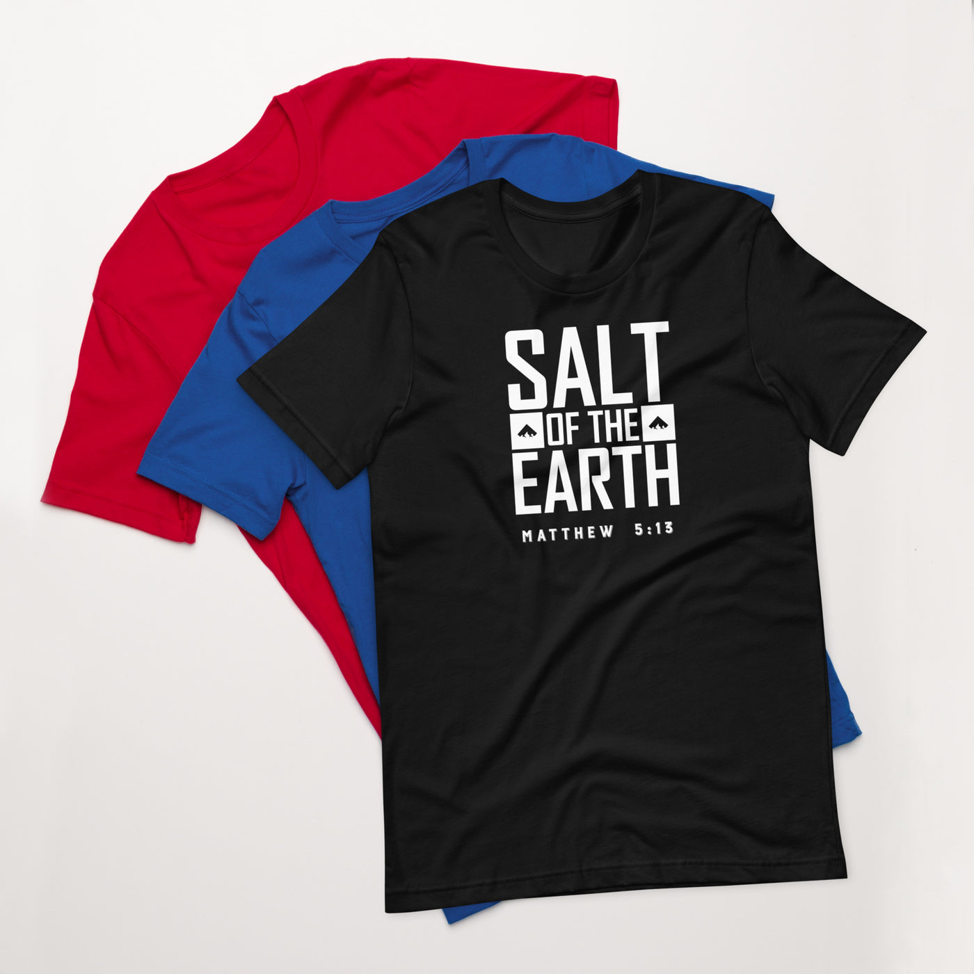 F&H Christian Salt of the Earth Matthew 5:13 Mens T-shirt