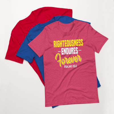 F&H Christian Righteousness Endures Forever Psalms112:2 womens  t-shirt