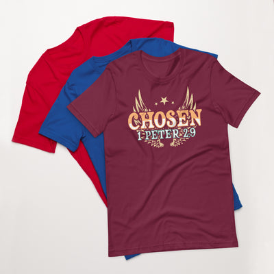 F&H Christian Chosen 1 Peter 2:9 Mens t-shirt