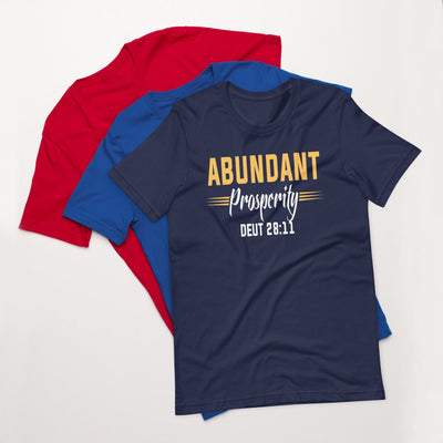F&H Christian Abundant Prosperity Deut 28:11 Womens t-shirt