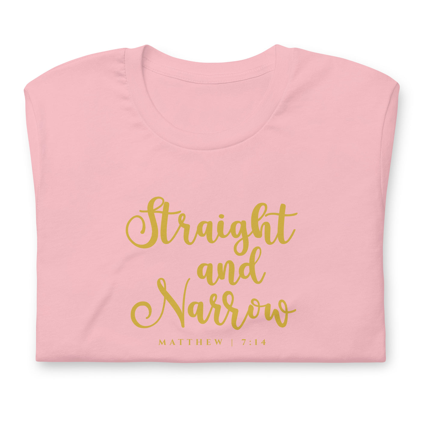 F&H Christian Straight and Narrow Womens t-shirt